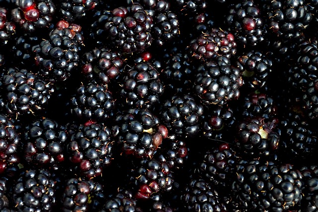 Black Berries